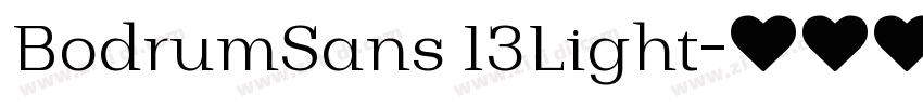 BodrumSans 13Light字体转换